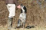 ADULTE ET CHIEN 077